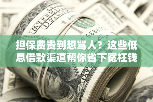 武汉担保费贵到想骂人？这些低息借款渠道帮你省下冤枉钱