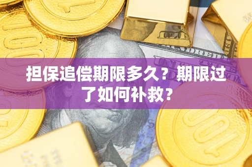 武汉担保追偿期限多久？期限过了如何补救？