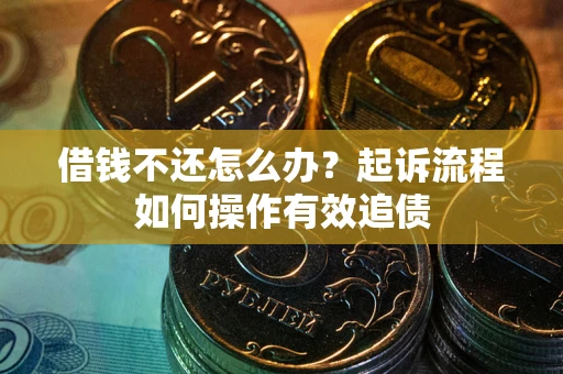武汉借钱不还怎么办？起诉流程如何操作有效追债
