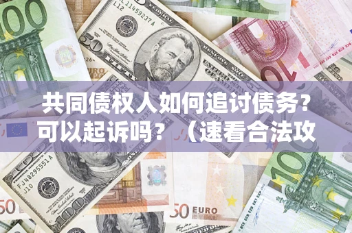武汉共同债权人如何追讨债务？可以起诉吗？（速看合法攻略）
