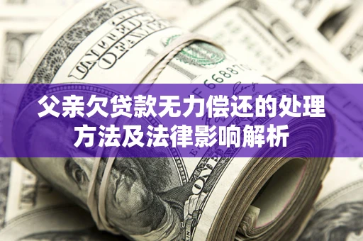 武汉父亲欠贷款无力偿还的处理方法及法律影响解析